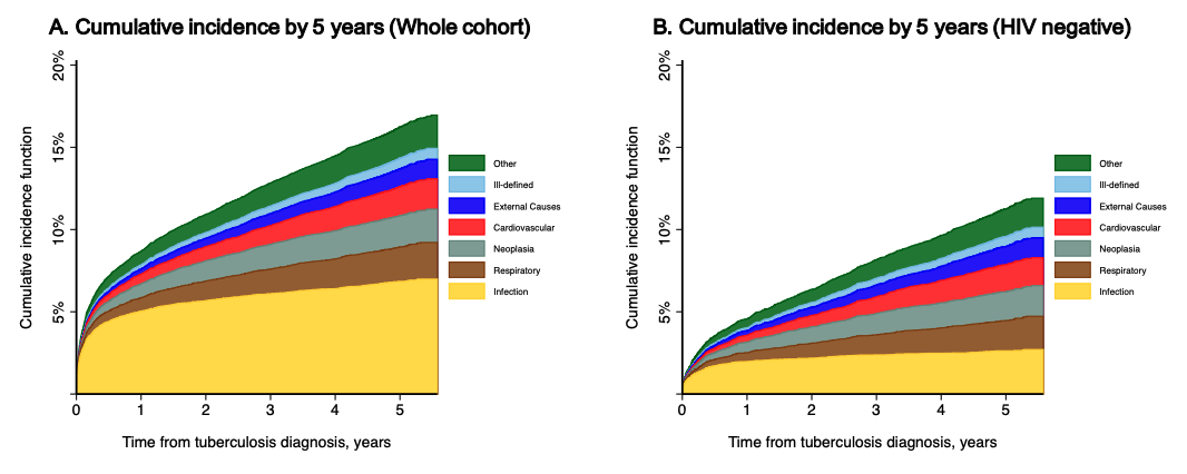 Tuberculosis burden