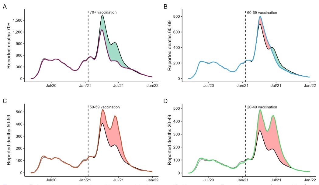 Vaccine Impact