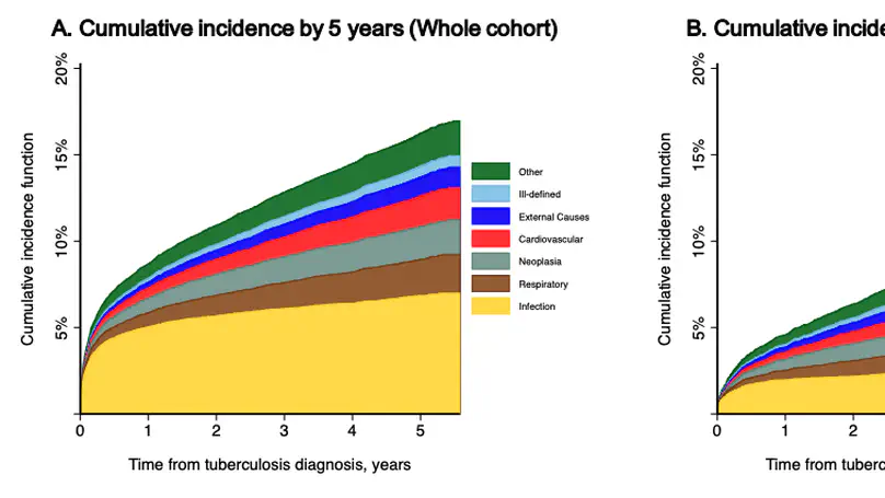 Post-Tuberculosis Burden
